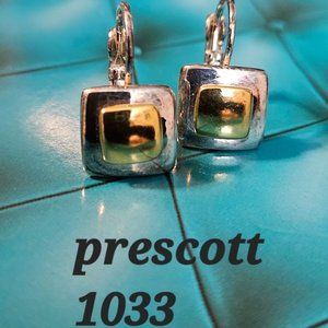 Premier Designs Earrings Prescott